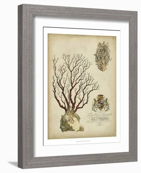 Imperial Coral III-null-Framed Art Print