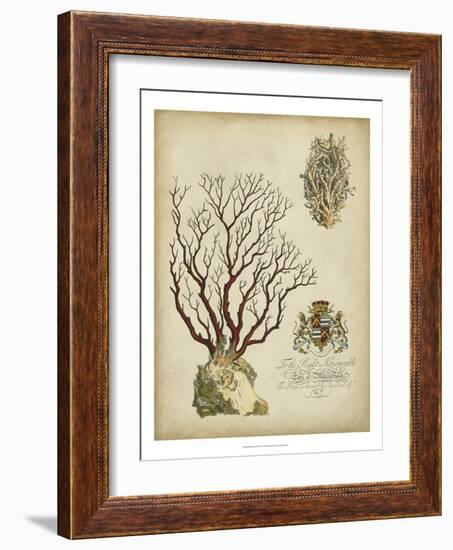 Imperial Coral III-null-Framed Art Print