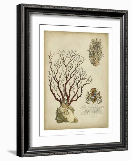 Imperial Coral III-null-Framed Art Print