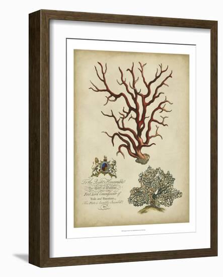 Imperial Coral IV-null-Framed Premium Giclee Print