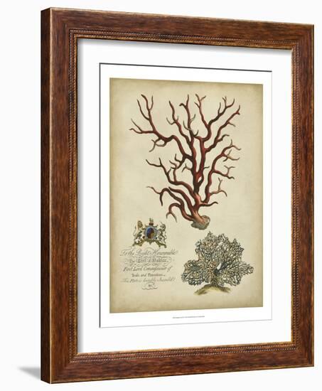 Imperial Coral IV-null-Framed Premium Giclee Print