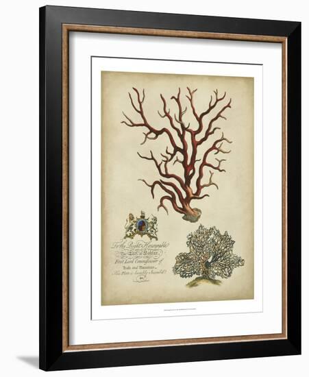 Imperial Coral IV-null-Framed Premium Giclee Print