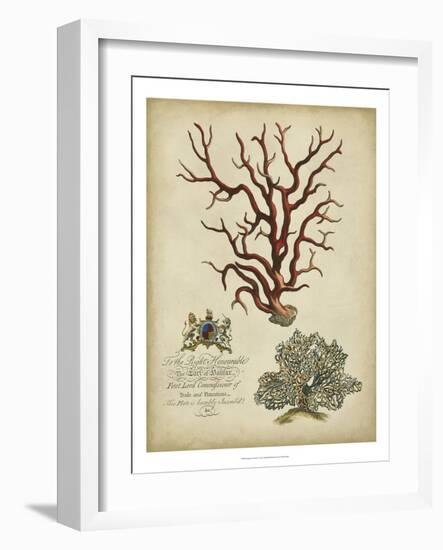 Imperial Coral IV-null-Framed Premium Giclee Print