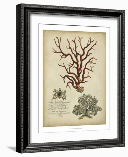 Imperial Coral IV-null-Framed Premium Giclee Print