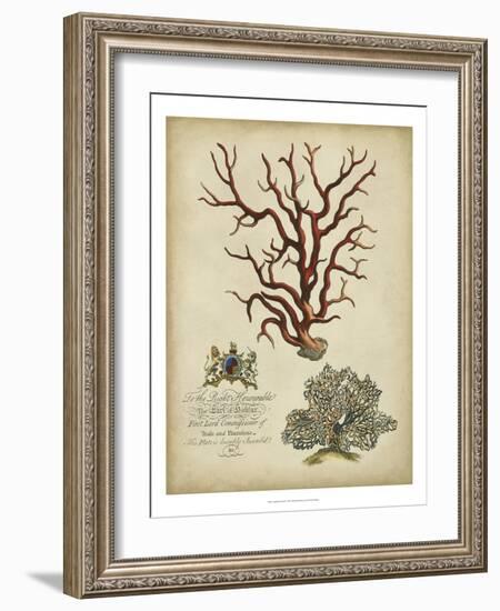 Imperial Coral IV-null-Framed Art Print