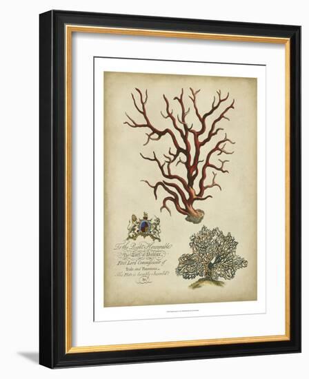 Imperial Coral IV-null-Framed Art Print