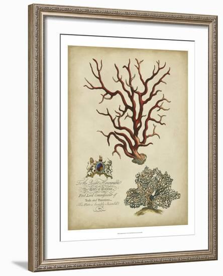 Imperial Coral IV-null-Framed Art Print