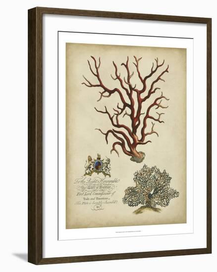 Imperial Coral IV-null-Framed Art Print