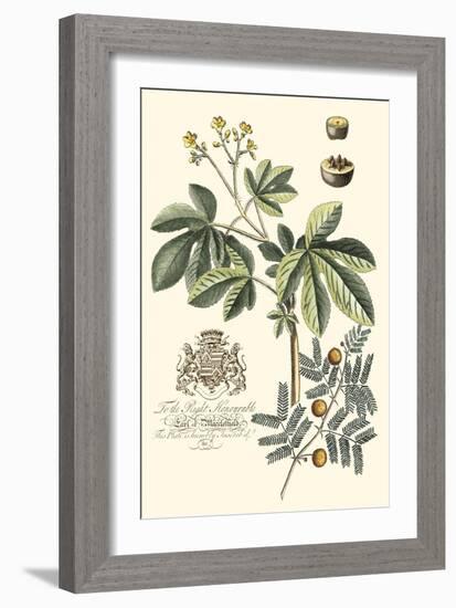 Imperial Foliage I-Vision Studio-Framed Art Print