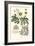 Imperial Foliage I-Vision Studio-Framed Art Print