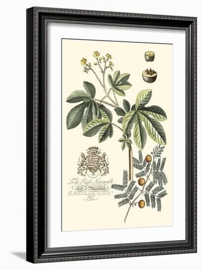 Imperial Foliage I-Vision Studio-Framed Art Print