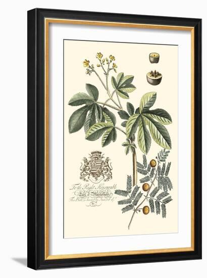 Imperial Foliage I-Vision Studio-Framed Art Print