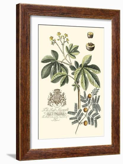 Imperial Foliage I-Vision Studio-Framed Premium Giclee Print