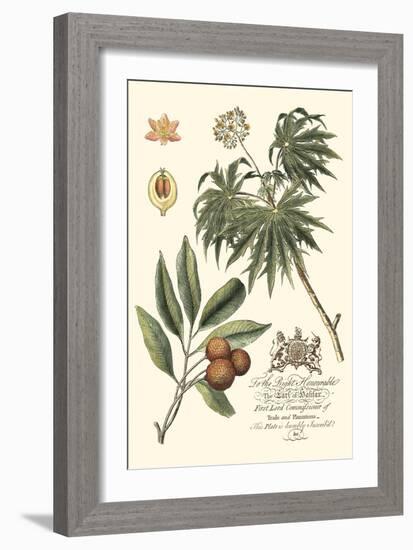 Imperial Foliage II-Vision Studio-Framed Premium Giclee Print