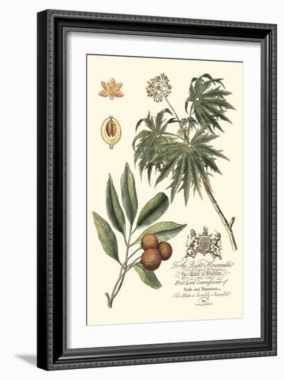 Imperial Foliage II-Vision Studio-Framed Premium Giclee Print