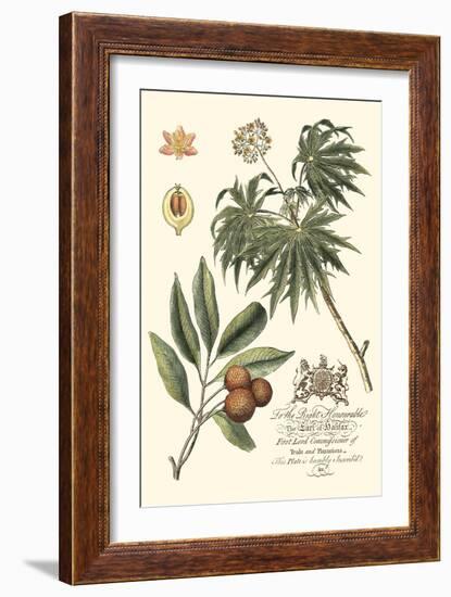 Imperial Foliage II-Vision Studio-Framed Art Print