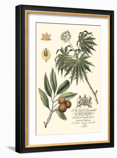 Imperial Foliage II-Vision Studio-Framed Art Print