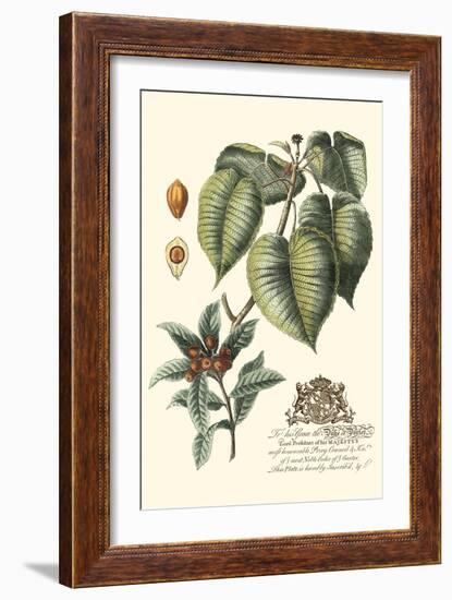 Imperial Foliage III-Vision Studio-Framed Art Print