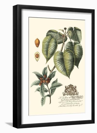 Imperial Foliage III-Vision Studio-Framed Art Print