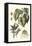 Imperial Foliage III-Vision Studio-Framed Stretched Canvas