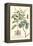 Imperial Foliage IV-Vision Studio-Framed Stretched Canvas