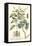 Imperial Foliage IV-Vision Studio-Framed Stretched Canvas