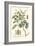 Imperial Foliage IV-Vision Studio-Framed Art Print