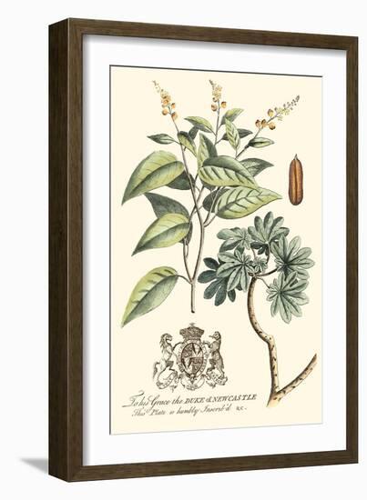 Imperial Foliage IV-Vision Studio-Framed Art Print