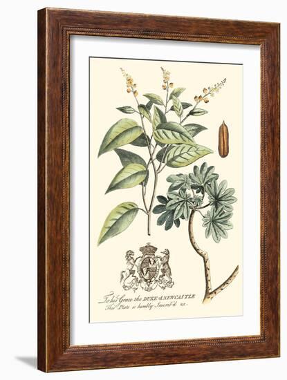 Imperial Foliage IV-Vision Studio-Framed Art Print