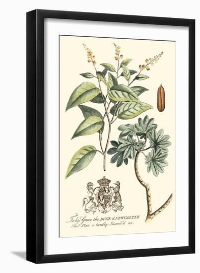 Imperial Foliage IV-Vision Studio-Framed Art Print