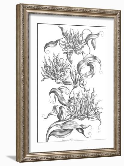 Imperial Gloriosa-Porter Design-Framed Giclee Print