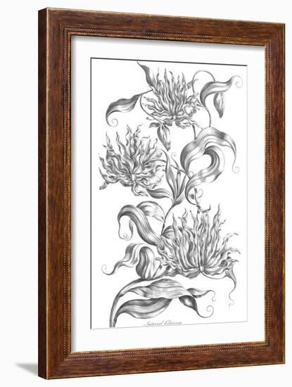 Imperial Gloriosa-Porter Design-Framed Giclee Print