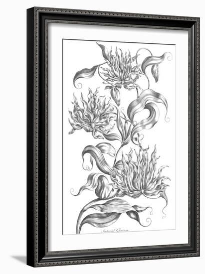 Imperial Gloriosa-Porter Design-Framed Giclee Print