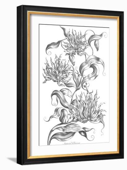 Imperial Gloriosa-Porter Design-Framed Giclee Print