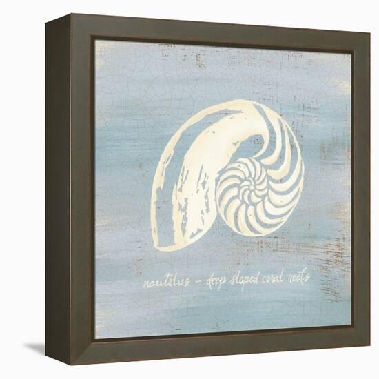 Imperial Nautilus-Z Studio-Framed Stretched Canvas