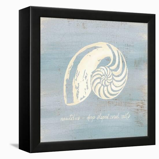 Imperial Nautilus-Z Studio-Framed Stretched Canvas