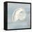 Imperial Nautilus-Z Studio-Framed Stretched Canvas