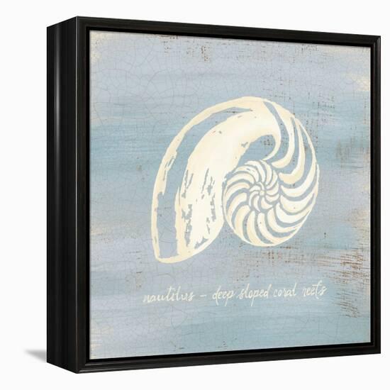 Imperial Nautilus-Z Studio-Framed Stretched Canvas