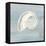 Imperial Nautilus-Z Studio-Framed Stretched Canvas