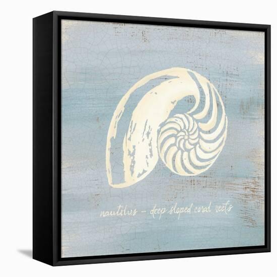 Imperial Nautilus-Z Studio-Framed Stretched Canvas