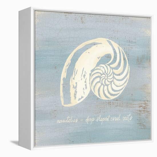 Imperial Nautilus-Z Studio-Framed Stretched Canvas