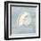 Imperial Nautilus-Z Studio-Framed Art Print