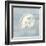 Imperial Nautilus-Z Studio-Framed Art Print