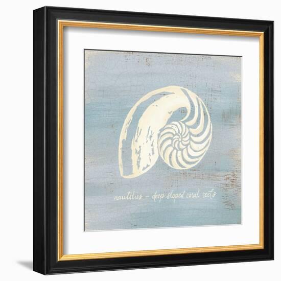 Imperial Nautilus-Z Studio-Framed Art Print