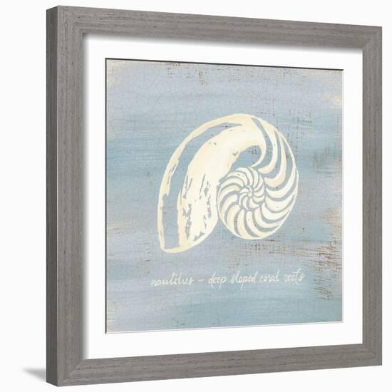 Imperial Nautilus-Z Studio-Framed Art Print