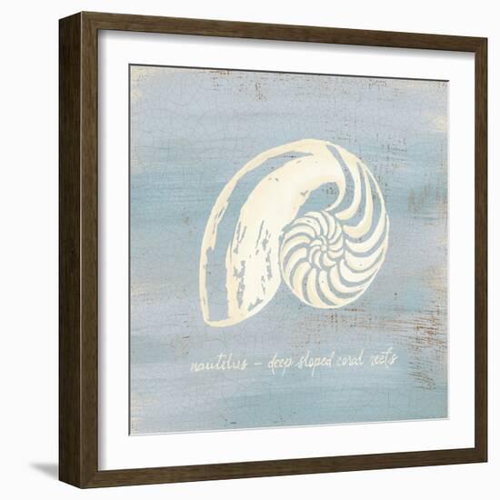 Imperial Nautilus-Z Studio-Framed Art Print