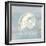 Imperial Nautilus-Z Studio-Framed Art Print