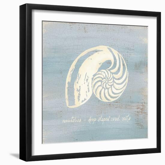 Imperial Nautilus-Z Studio-Framed Art Print