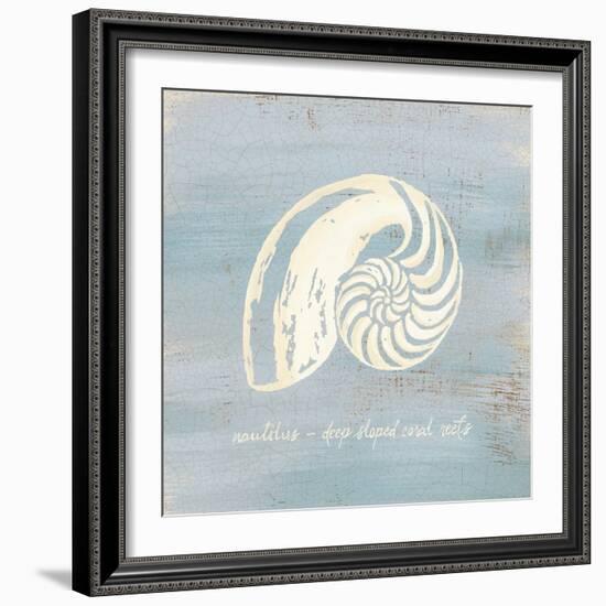 Imperial Nautilus-Z Studio-Framed Art Print