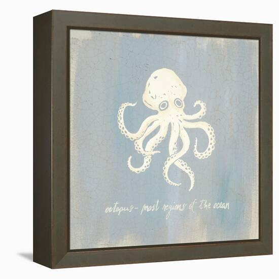 Imperial Octopus-Z Studio-Framed Stretched Canvas